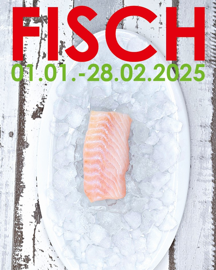 2025-01_TK-Fisch